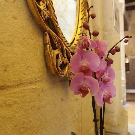 Princess Elena 3* Valletta